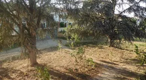 Casa del Abuelo - San Lorenzo - Image 4