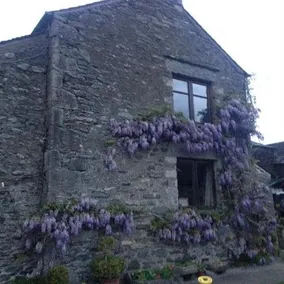 Tranthwaite Hall Bed & Breakfast - Image 2