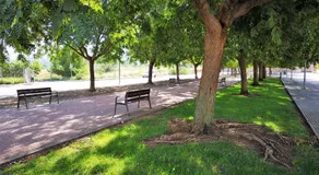 GREEN PARADISE - Image 4