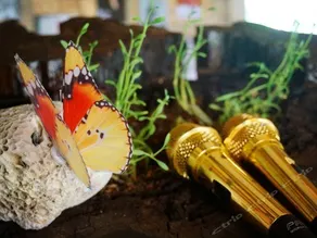 Nasha Nige Themed Inn - Image 5