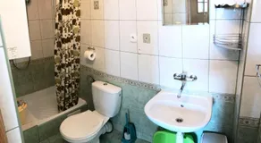 Dzika Roza - Image 2