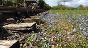 Rowden Mill Station - Image 5