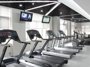 Sports - Image 2