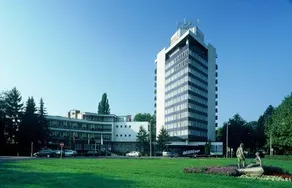 Nagyerdő - Image 2