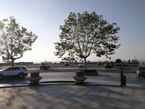 7 Days Premium Qingdao World of Ocean Qingdao University - Image 3