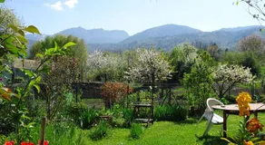 Le clos - Image 3