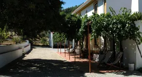 Quinta Do Vaqueirinho - Agro-Turismo - Image 2