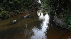 Nature INN - Image 3