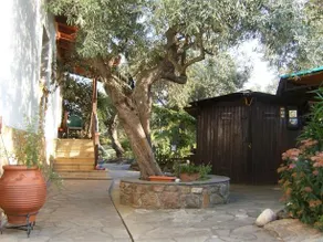 Kortiri Studios - Image 2