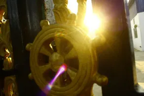 Royal Panacea - Image 2
