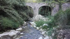 Casa La Rosa - Image 4