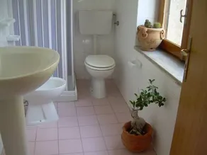 Il Tartarughino - Image 4