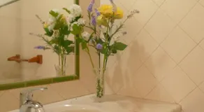 Tapada do Padre Rosa - Image 2