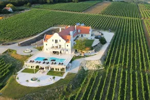Liszkay Vineyard Estate - Image 3