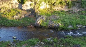 La petite châtaigne de Collobrières - Image 3