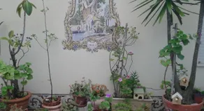 Avenida 8 apartment - Image 3