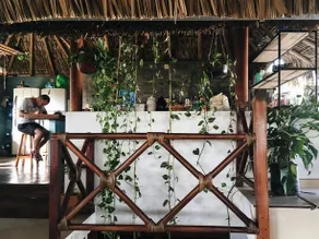 Puerto Dreams - Image 5