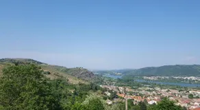 les vignes Ardéchoises Peuplier - Image 3