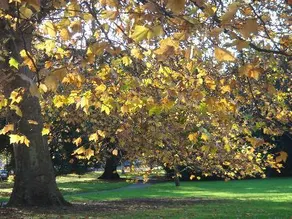 Cheltenham Lawn And Pittville Gallery B&B - Image 5