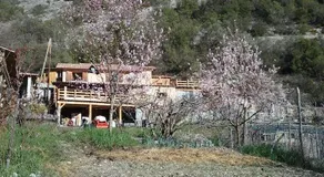 Mistoulin - Image 3