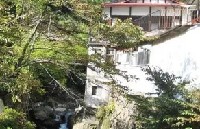 Kajika Club - Image 1