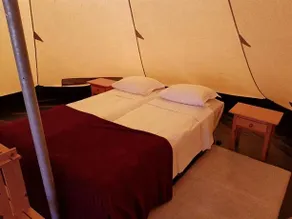 Mariposa Libre - Image 3