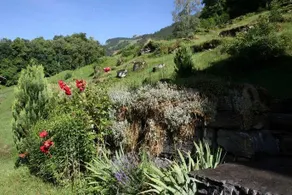 Beim See - Image 4