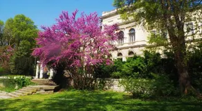 Apartament Maria Luiza - Image 3