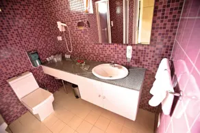 Terme Topolsica Apartments - Image 4