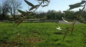 La Bouriote L'etable - Image 2