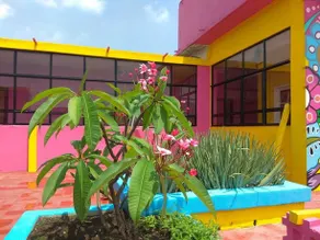 Hotel Frida Khalo - Image 2