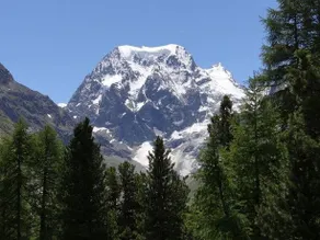 Le Chamois - Image 5