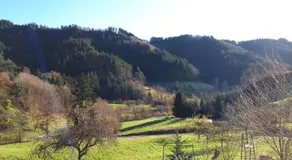 Heimatglück - Image 4