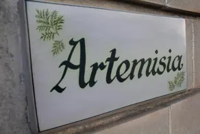 Artemisia - Image 2