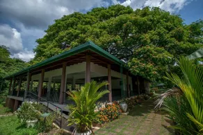 Governor's Gangula Hotel - Image 2