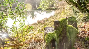 Finest Retreats - The Tree House - Eco-Friendly, Back To Nature Experience - Image 5