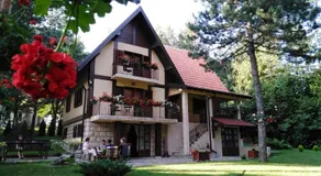 Vila Petko - Image 4