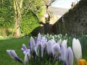 Dartmouth House Self Catering - Image 5