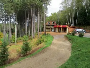 La Maison sous les arbres - Image 3