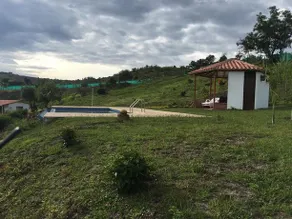 Guayacanes - Image 4