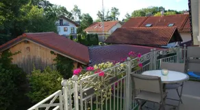 Erholungsfuechse Andechs - Image 4