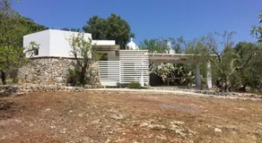 Syconium Trullo and Lamia Gea - Image 5