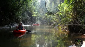 Jungle Roots Glamping - Image 5