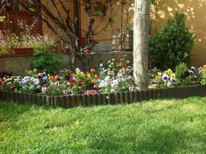 Casa Ioana - Image 3