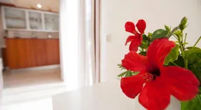 Sunny Rhodes Villa - Image 5