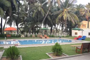 HOTEL PALMS - Image 5