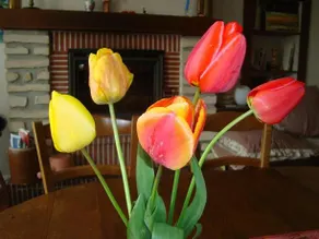 La Maison Claire - Image 3