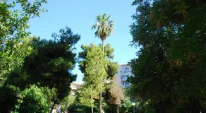 King Central Apartment Athens - Image 4