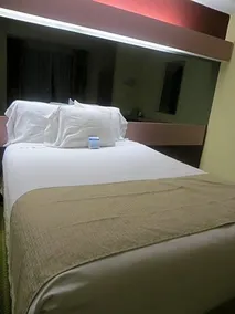 Microtel Inn & Suites by Wyndham Knoxville - Image 2