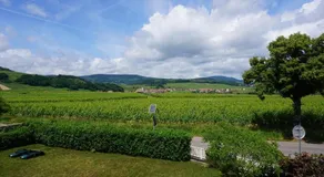Le clos des vignes - Image 3